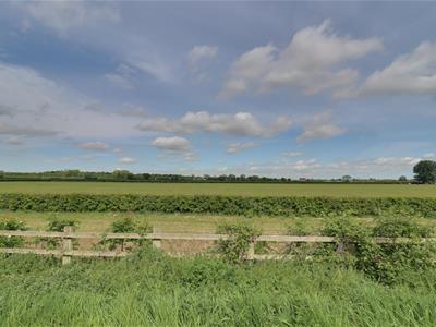 Picture 22